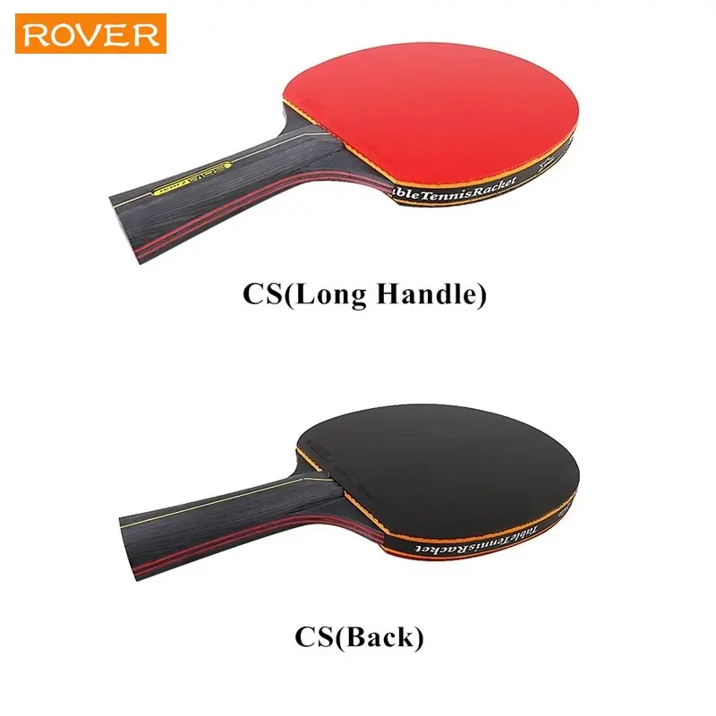 5/6 Star Table Tennis Racket 2 - Desk Setup Tips avis et prix