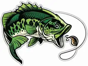 Perch Fishing Stickers Window  - Desk Setup Notebook avis et prix